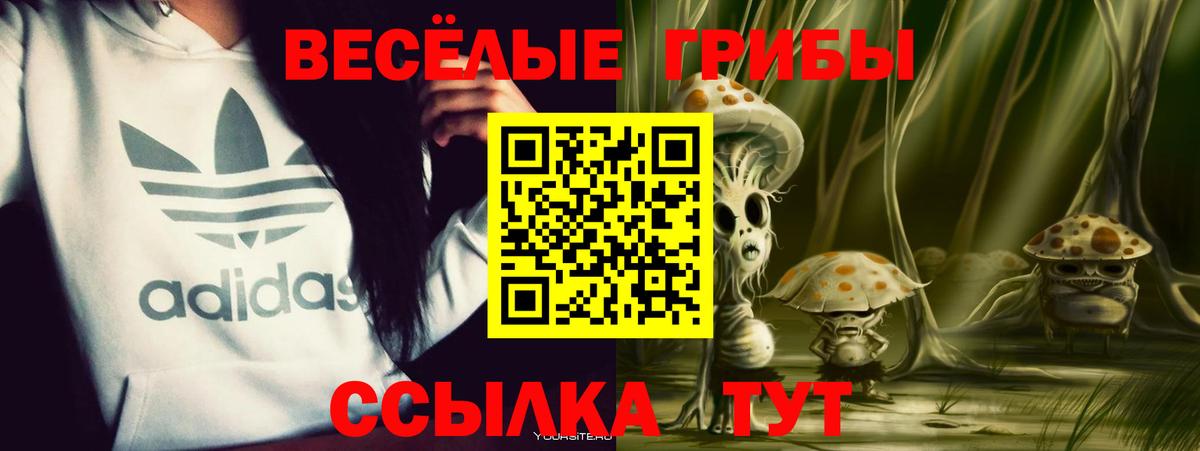 Галлюциногенные грибы мицелий  купить наркотик  Йошкар-Ола  Вход с VPN 
